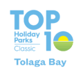 tolagabay top10 primary classic logo pos